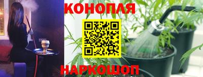 твердый Будённовск