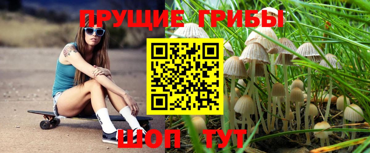 что такое наркотик  Вход с VPN  Псилоцибиновые грибы Psilocybine cubensis  Саров  Псилоцибиновые грибы ЛСД 
